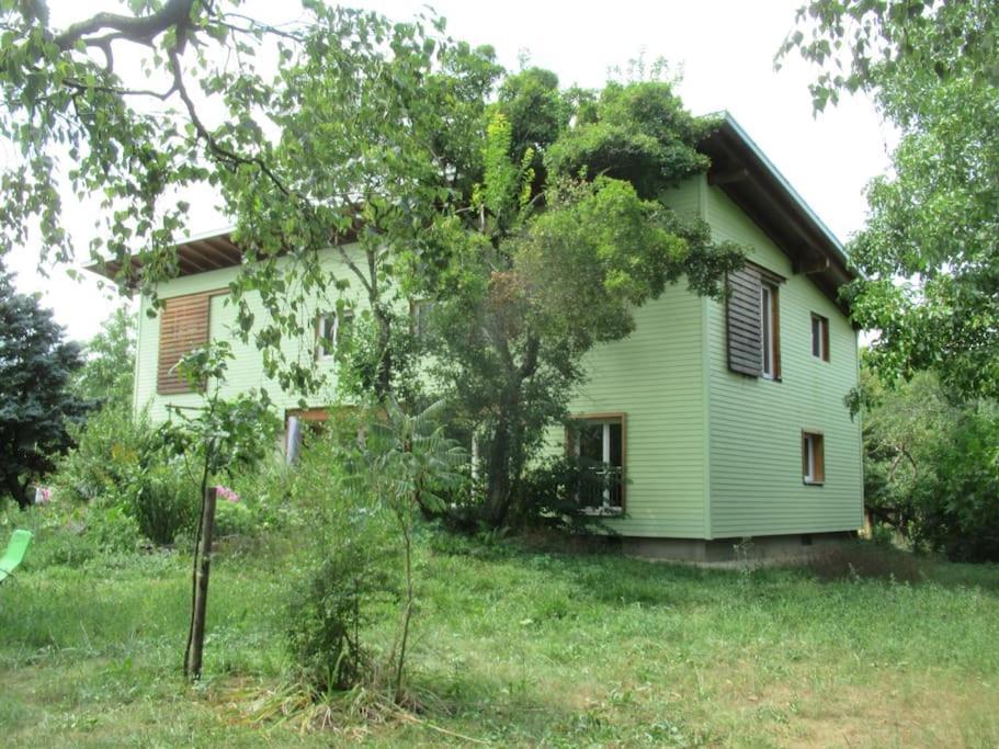 Ferienwohnung Im Gruenen Gottenheim Exterior photo