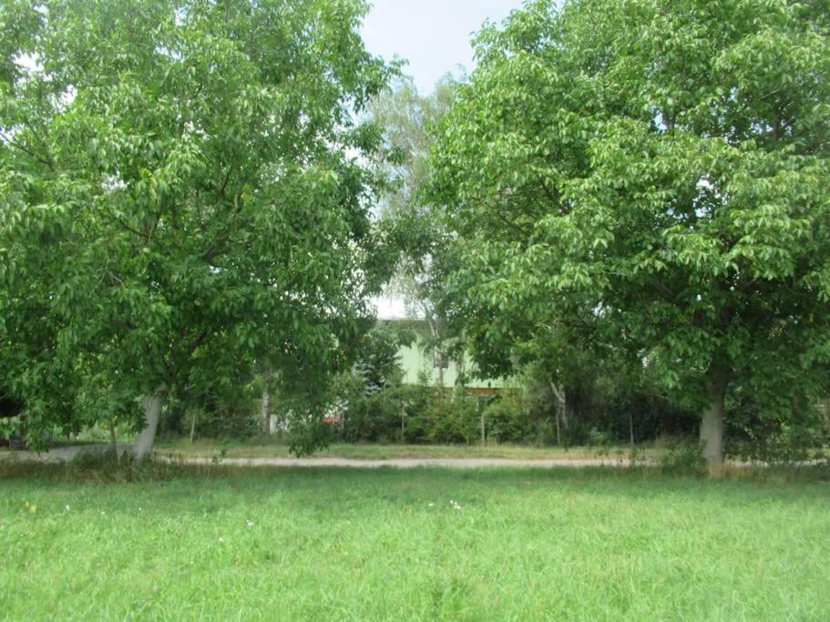 Ferienwohnung Im Gruenen Gottenheim Exterior photo